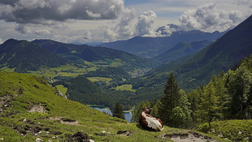 Idyllische Bergwelt im Berchtesgadener Land (4) (Foto: Jörg Neumann)