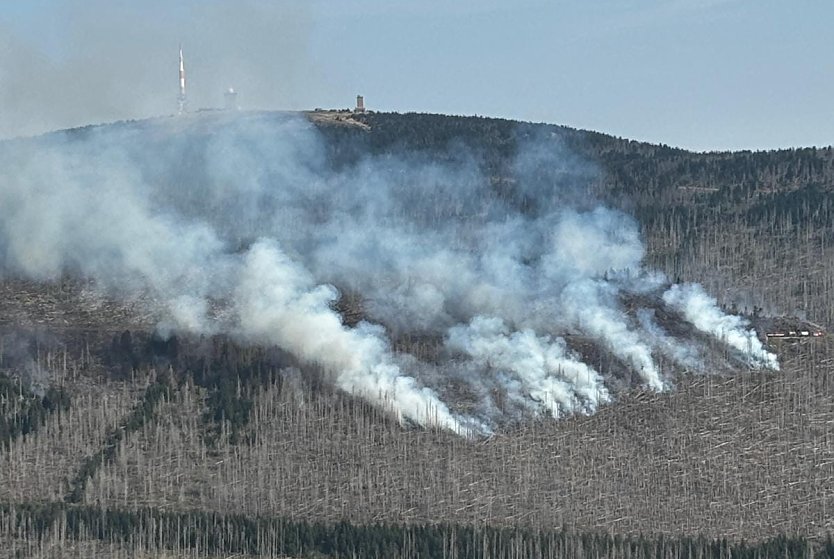 So sah es gestern aus... (Foto: Landkreis Harz)