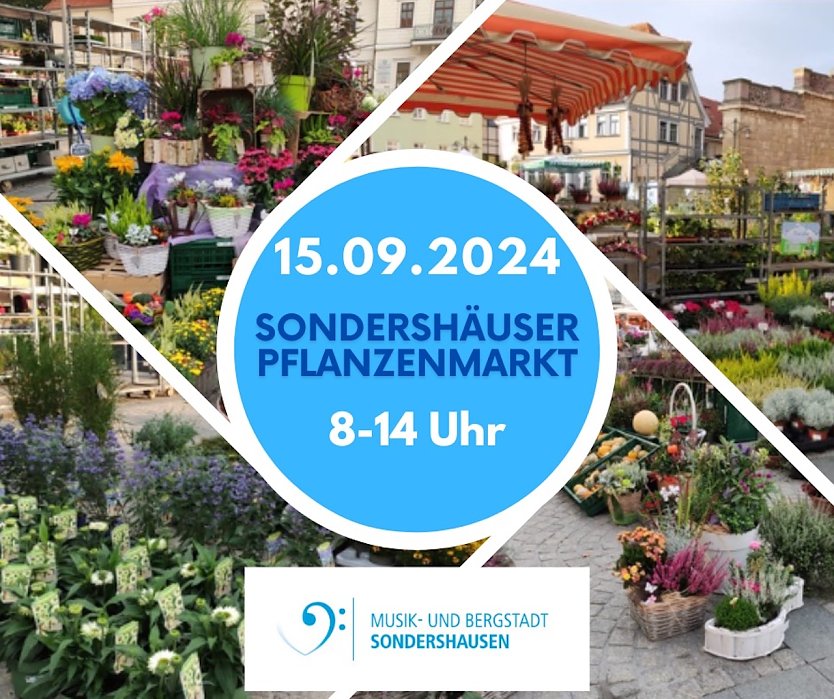 Sondershäuser Blumen-Pflanzen- und Staudenmarkt (Foto: Janine Skara)