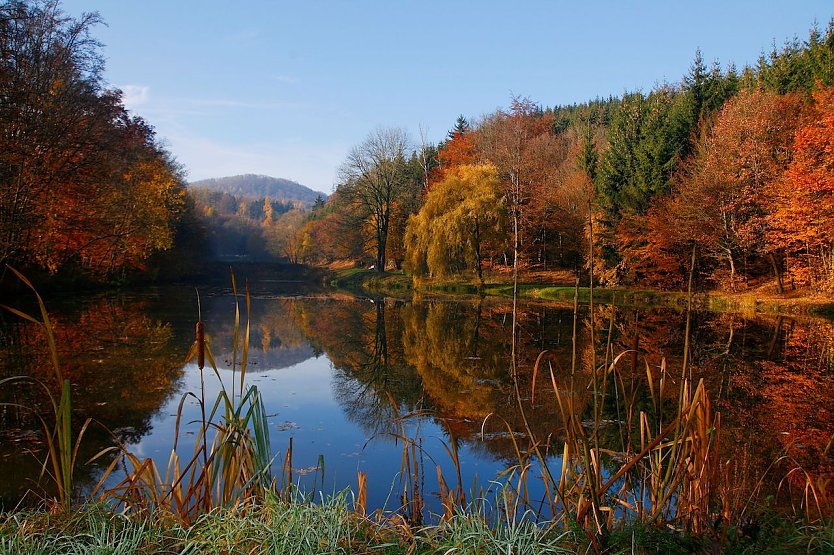 Die Wälder um das Brauertal bei Eisenach zeigen sich bald von ihrer buntesten Seite (Foto: Peter Gerlach)