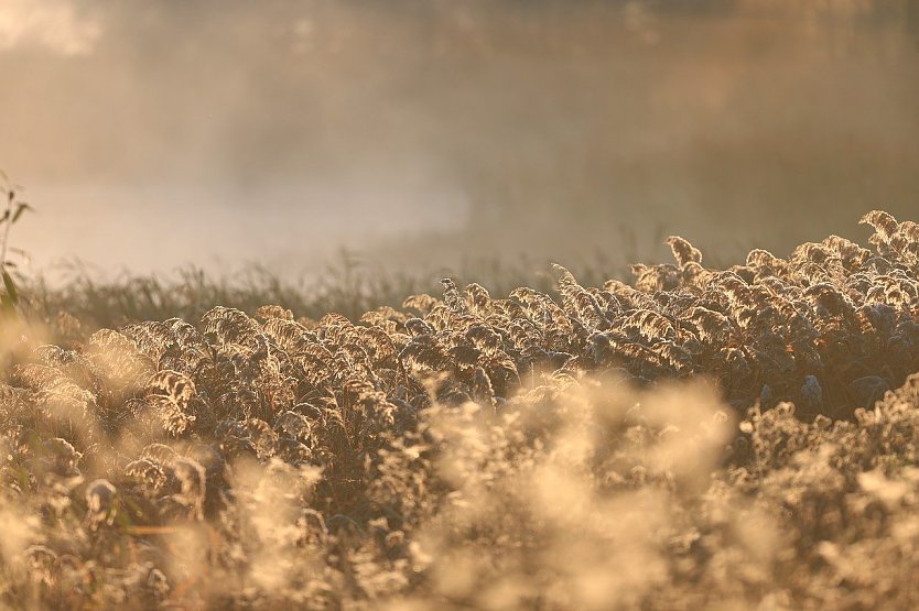 Wetterbild (Foto: VitalyKobzun/pixabay.com)