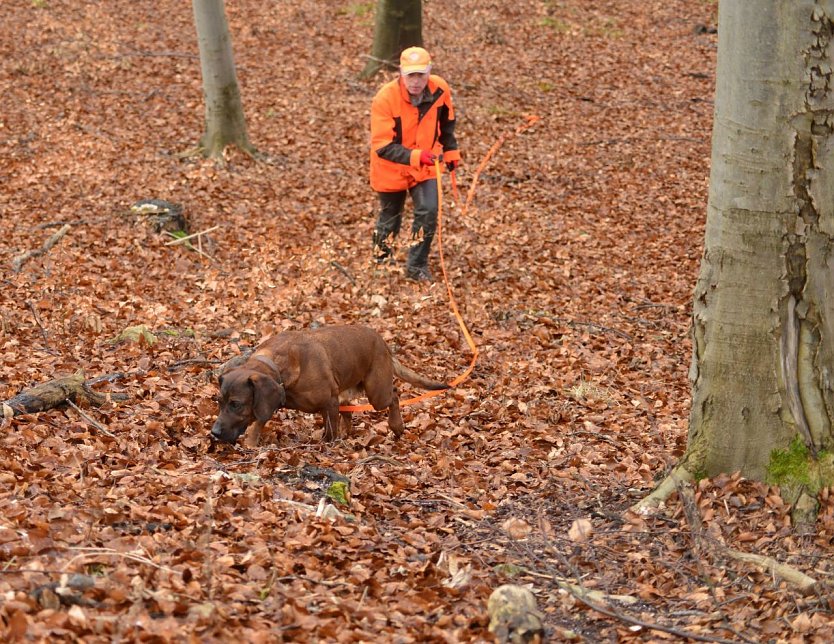 Ein steter Jagdbegleiter: der Hund (Foto: Andreas Knoll)