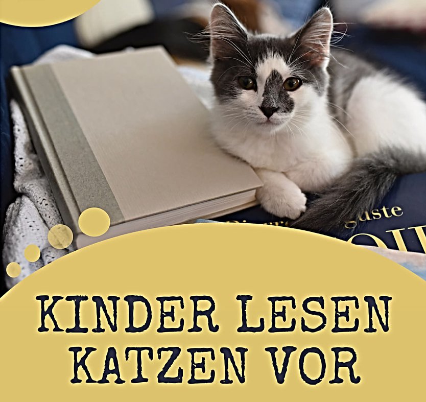 Kinder lesen Katzen vor (Foto: Stadt Nordhausen)