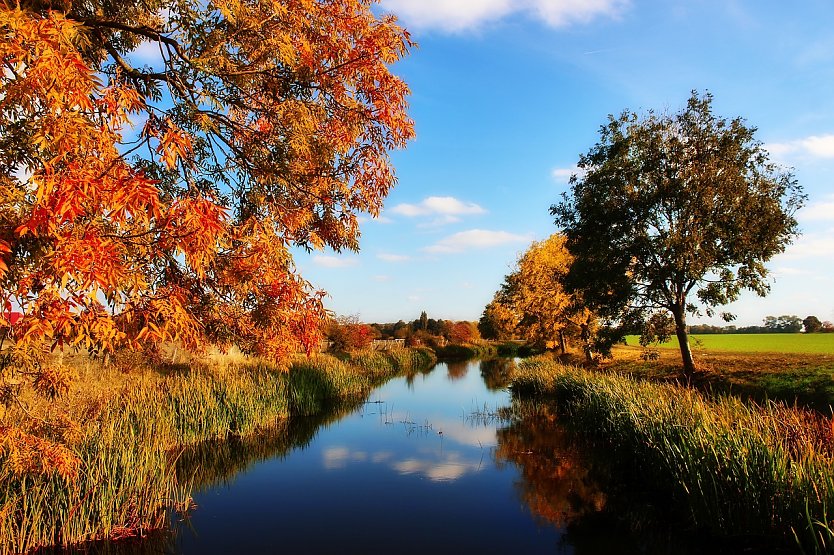 Wetterbild (Foto: Lolame/pixabay.com)