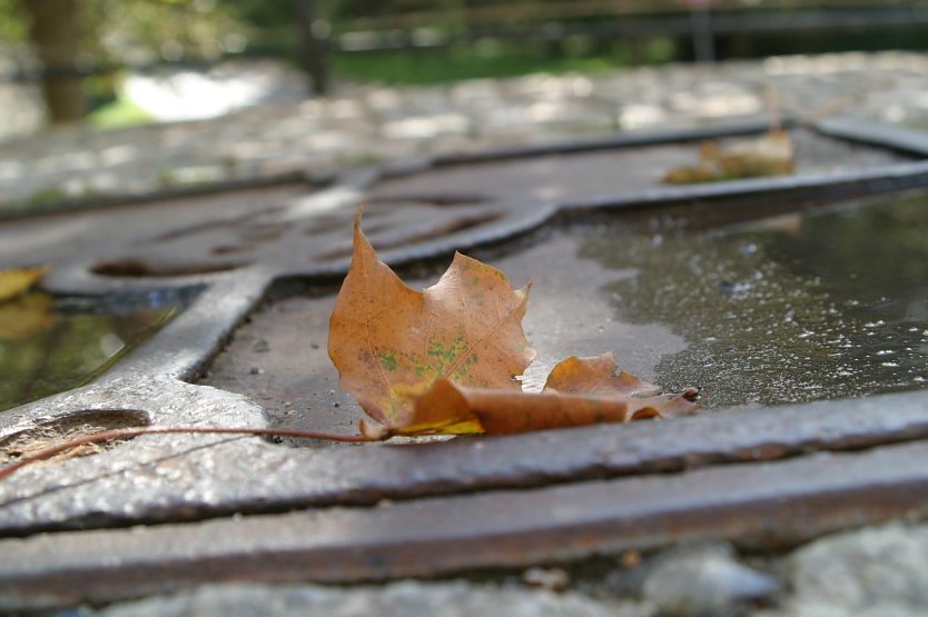 Wetterbild (Foto: nnz)