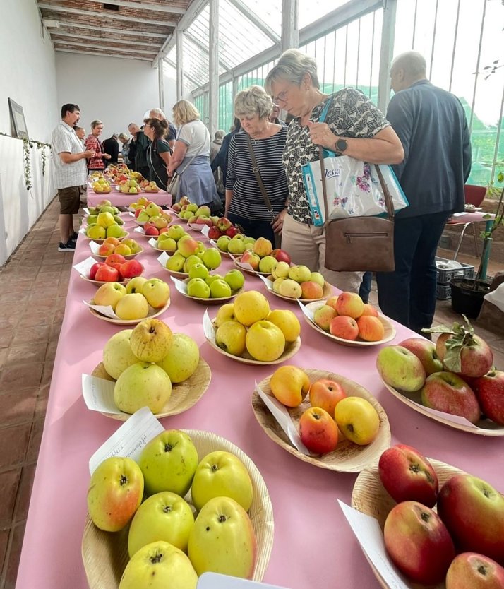 Obstsortentag in der Orangerie (Foto: Karsten Stiehler)