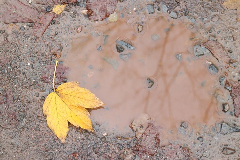 Wetterbild (Foto: agl)