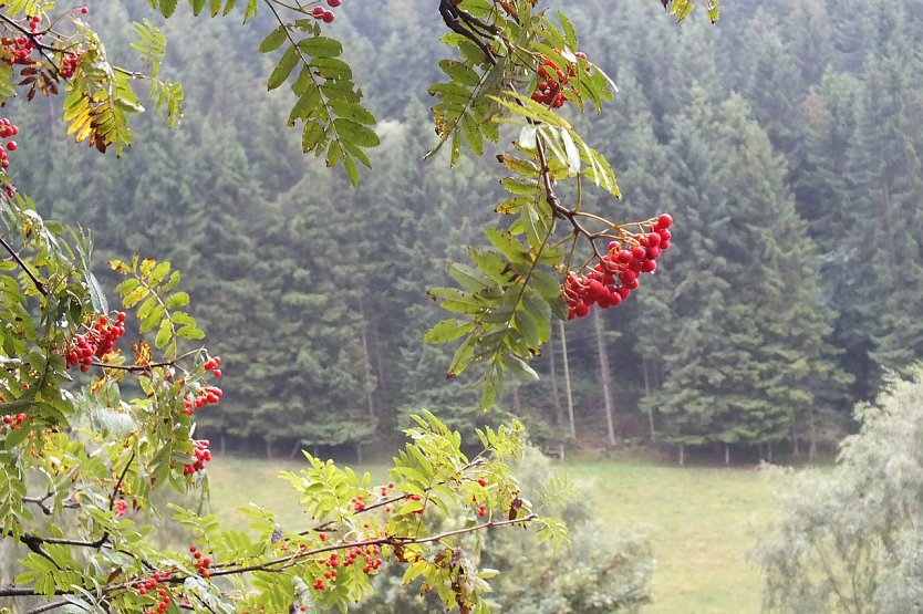 Wetterbild (Foto: jellaklauke/pixabay.com)