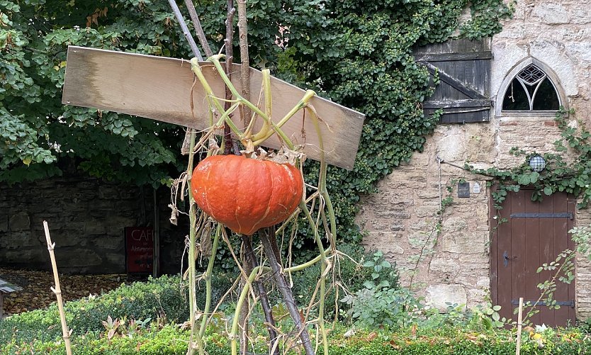 Es wird Herbst in Thüringen (Foto: oas)