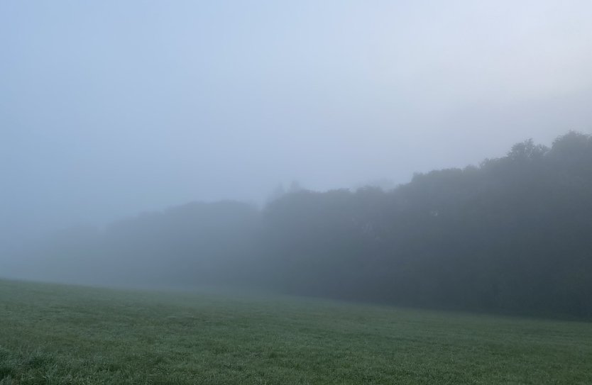 Herbstmorgen in der Natur (Foto: oas)