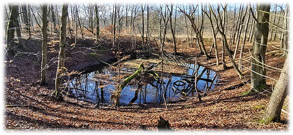 „Erdfall mit Teich im Mackenröder Forst“. (Foto: ArGe Drei Länder Ein Weg - Karstwanderweg Südharz Firouz Vladi)