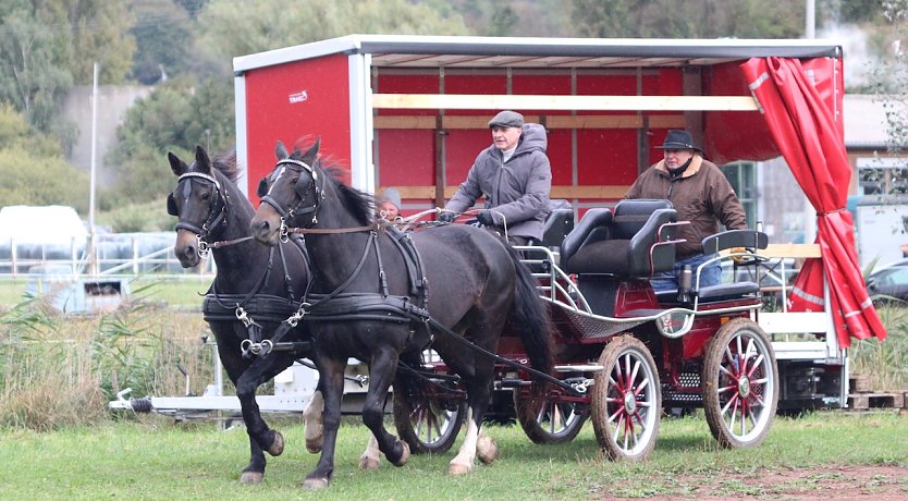 Die dreißigste Südharz Rallye begeisterte die Kutsch- und Pferdefreunde (Foto: S.Backhaus)