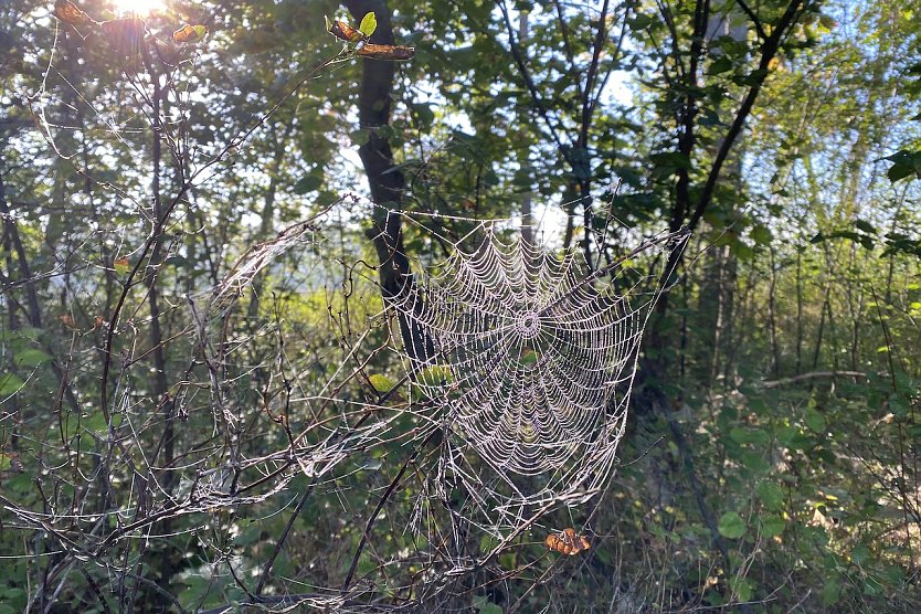 Unbeständiges Herbstwetter bleibt erhalten (Foto: oas)