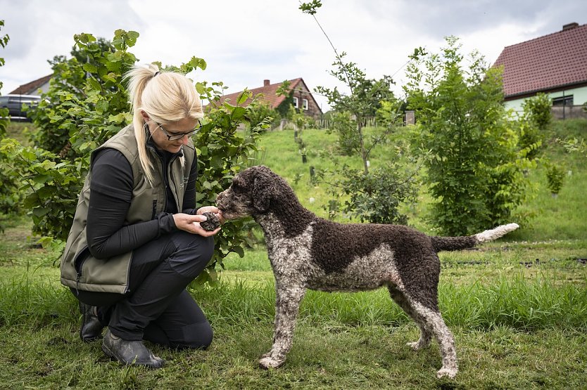 Unternehmerin Anja Kolbe-Nelde mit ihrem Trüffelhund (Foto: agrarheute/ Timo Jaworr)