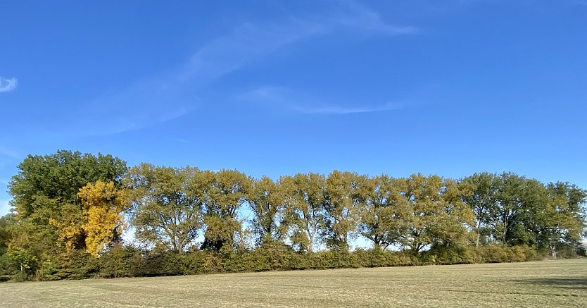 Einsetzende Herbstfärbung (Foto: oas)