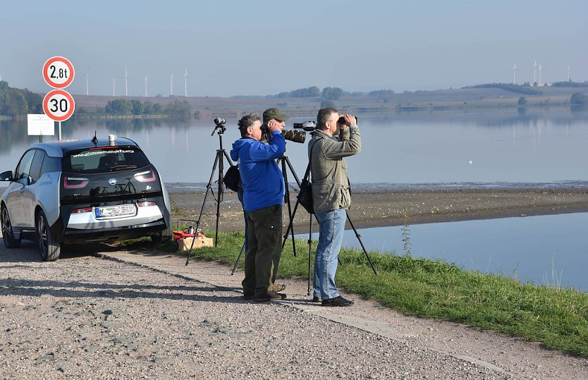 Vogelbeobachtung in Henschleben (Foto: Tino Sauer)