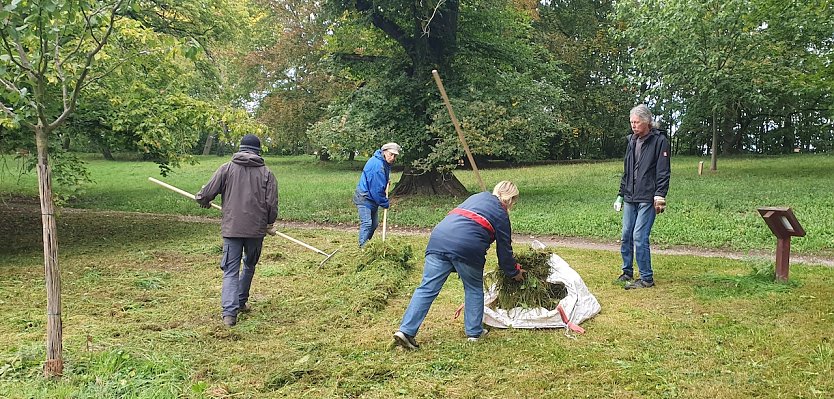  Mähen für mehr Blumen und Wildbienen im kommenden Jahr: Acht Aktive pflegten die Streuobstwiese des Villenparks Hohenrode. (Foto: B.Schwarzberg)