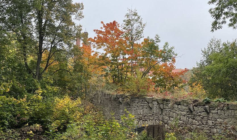 Das ruhige Herbstwetter bleibt erhalten (Foto: oas)