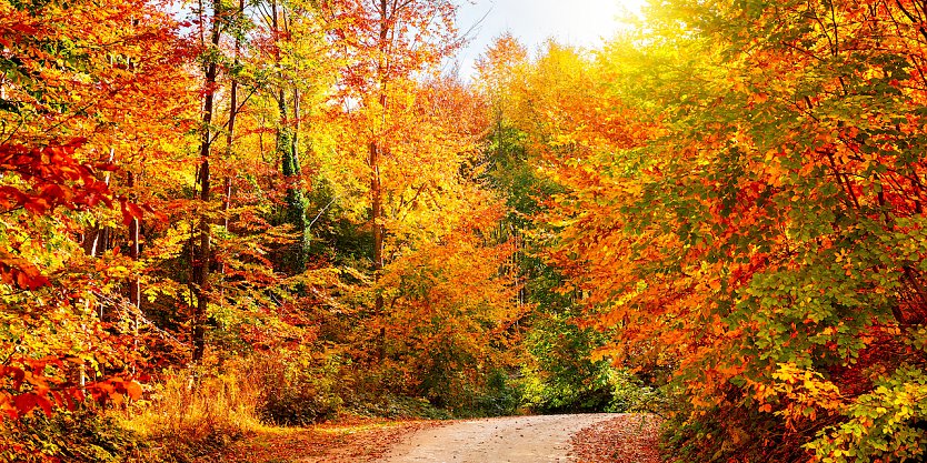 Hoch WERNER bringt uns ein Stück "goldenen Oktober" und zum Teil auch spätsommerliche Wärme. (Foto: Shutterstock)