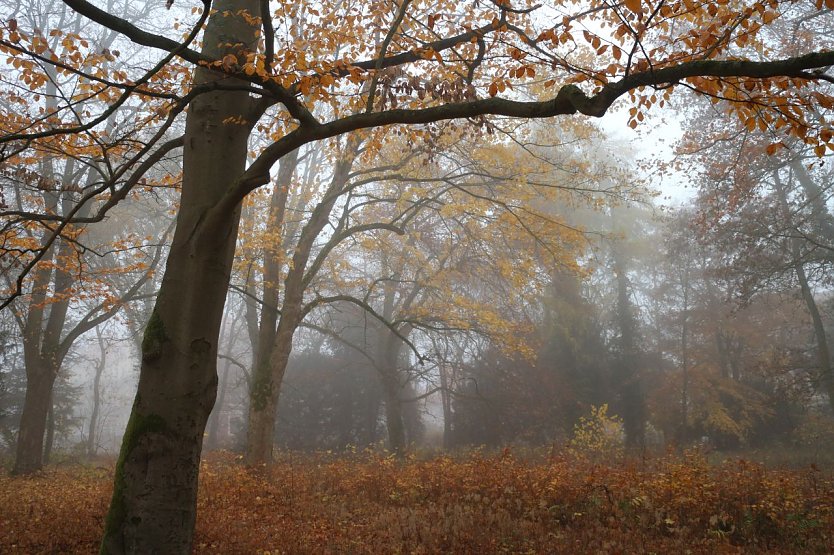 Wetterbild (Foto: agl)