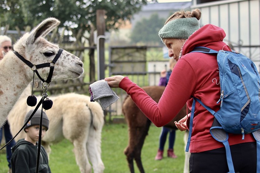 Eine große Vertrautheit herrscht zwischen Alina Kroll und ihren Tieren auf dem Lamahof "Unstrut Lamas" in Herbsleben (Foto: Eva Maria Wiegand)