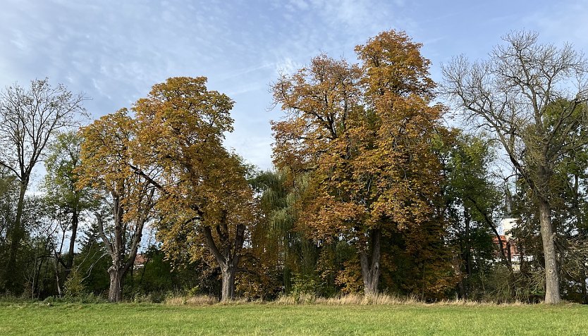 Herbstwetter bleibt freundlich und ruhig (Foto: oas)