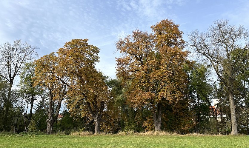 Weiterhin beherrscht ruhiges Herbstwetter die Lage (Foto: oas)