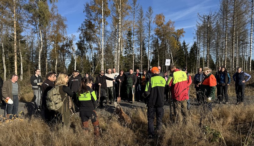 !000 Bäume wurden Gestern neu gepflanzt (Foto: C.Wilhelm)