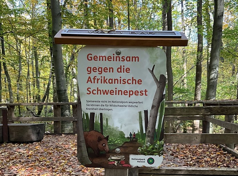 Gemeinsam gegen die Afrikanische Schweinepest (Foto: Nationalpark-Verwaltung Hainich)