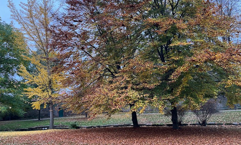 Weiter ruhiges Herbstwetter, aber kälter (Foto: oas)