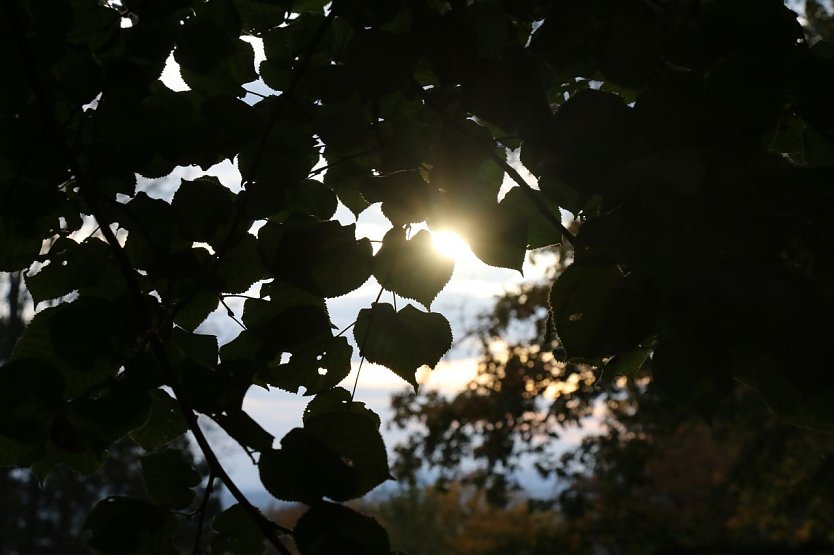 Wetterbild (Foto: agl)