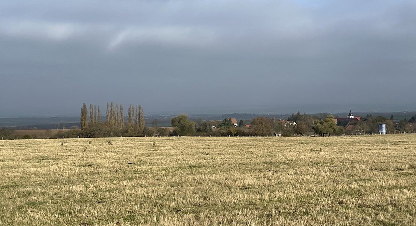Weiter herbstliches Schmuddelwetter ohne Sonne (Foto: oas)