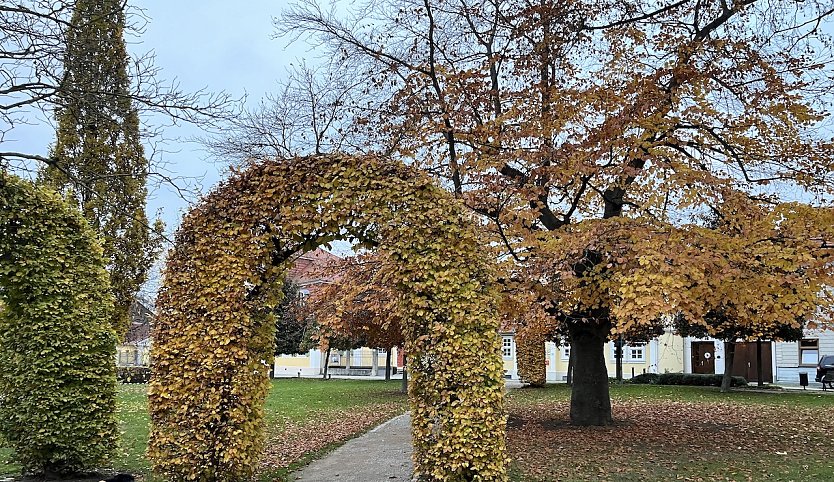 Rostfarbener Kurpark in Bad Langensalza (Foto: oas)