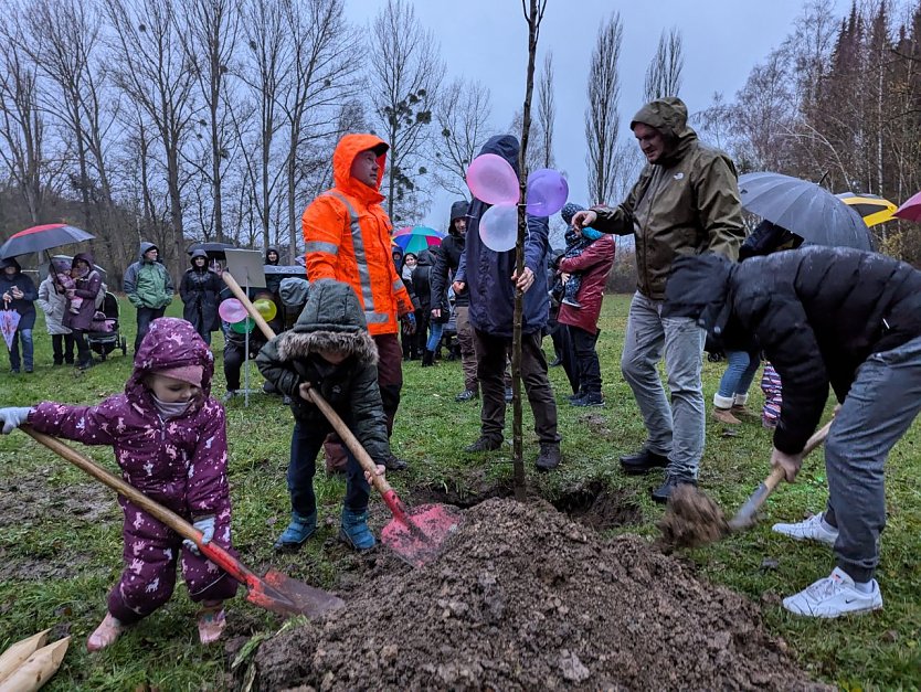 Pflanzaktion in Bebra (Foto: Janine Skara)