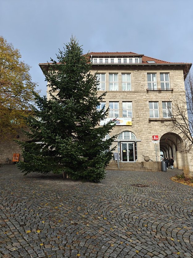 Weihnachtsbaum auf dem Rathausplatz (Foto: Peter Blei)
