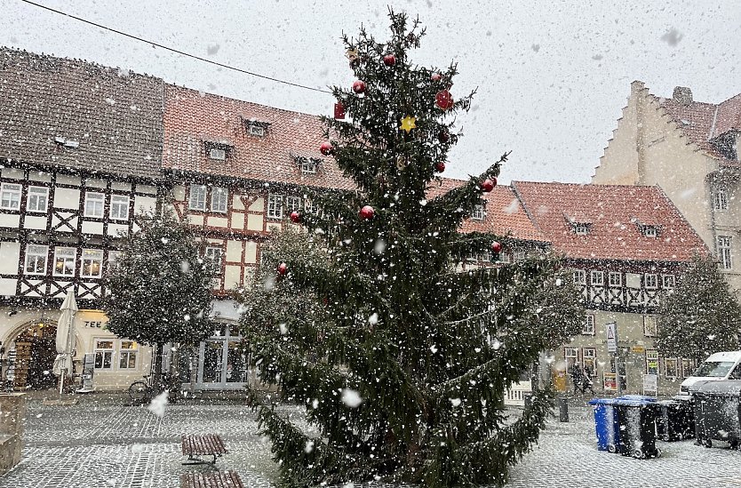 Weihnachtsbaum im Schneegestöber vor der Marktkirche (Foto: oas)