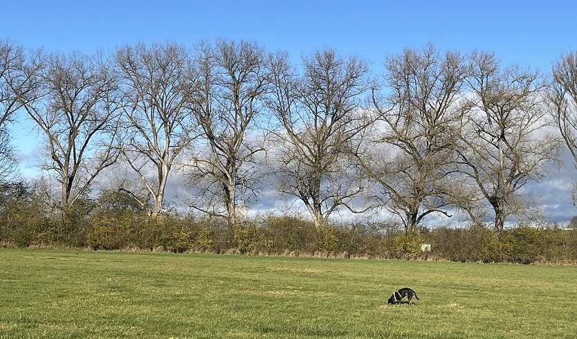 Wieder freundlicheres Herbstwetter (Foto: oas)