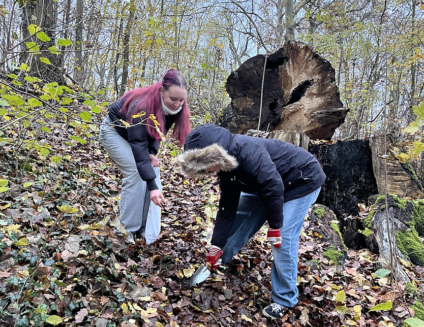 Sch&uuml;ler des Humboldt-Gymnasiums wollen aufforsten (Foto: Christoph Keil)