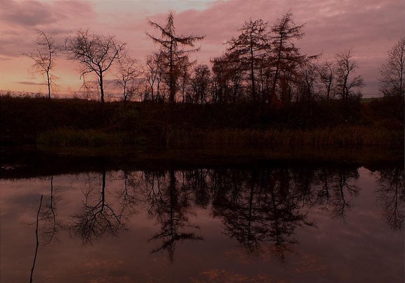 Sonnenuntergang am Nordh&auml;user Tierheim/ D&ouml;bels-Teich (Foto: Frank J&ouml;decke)