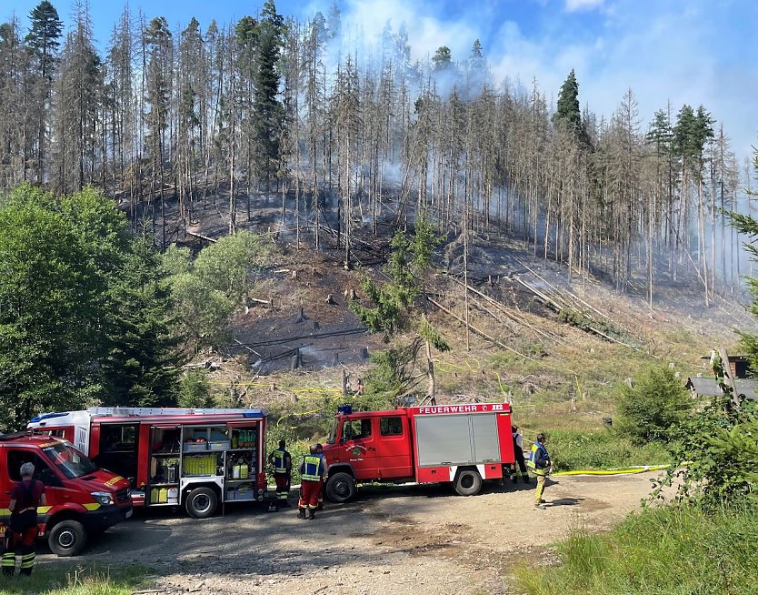 Waldbr&auml;nde stellen f&uuml;r die Feuerwehren oft eine gro&szlig;e Herausforderung dar: Steilhanglagen mit schlechter Begehbarkeit oder die schwierige L&ouml;schwasserbereitstellung, wie hier im Forstrevier Meura im Juli 2024, sind nur zwei davon (Foto: Niklas Singer)