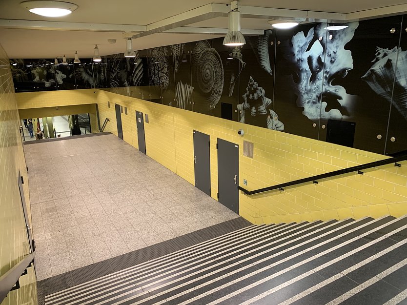 U-Bahnhof in Berlin (Foto: M&ouml;ller privat)