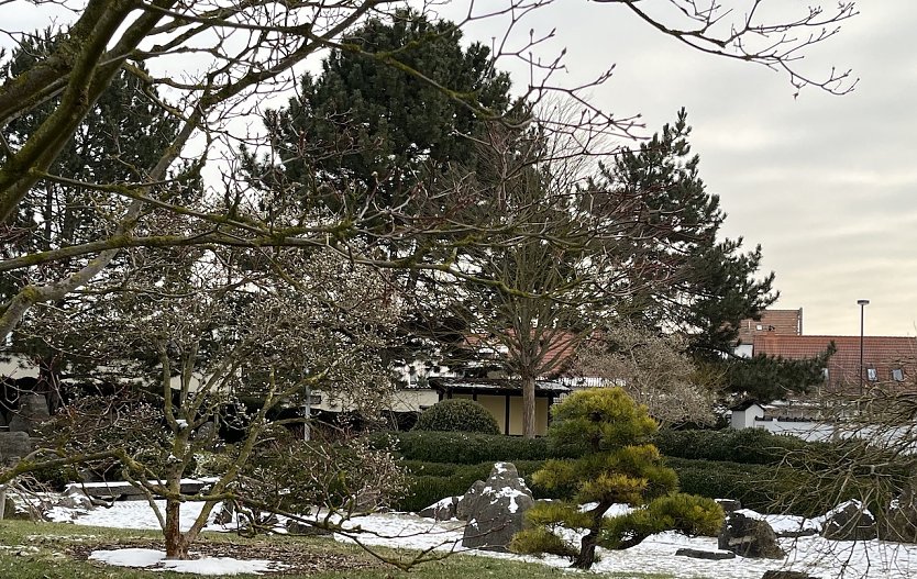 Warten nah den Fr&uuml;hling: Japanischer Garten Bad Langensalza  (Foto: oas)