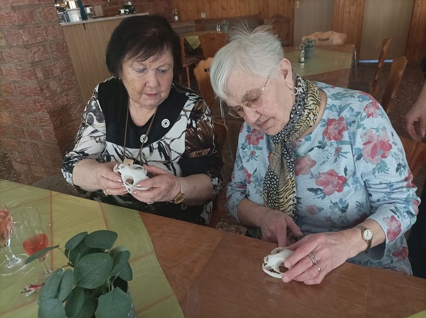 Ein Vortrag &uuml;ber Wildkatzen bei der WB4 in Sondershausen (Foto: Thomas Leipold)