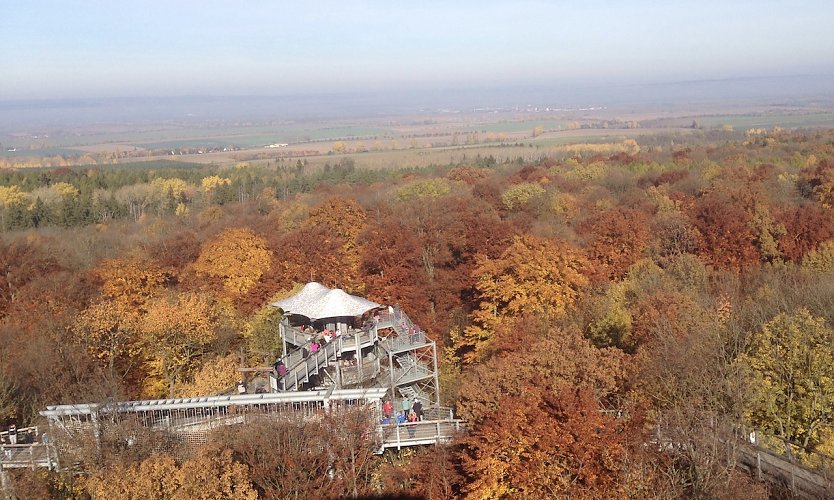 Beliebtes touristisches Ziel: Baumkronenpfad im Hainich (Foto: uhz Archiv)