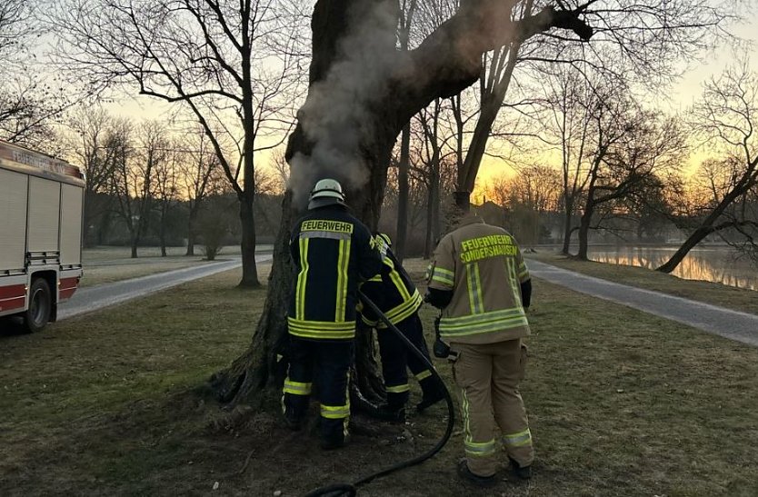 Baum im Schlosspark angez&uuml;ndet (Foto: Polizei)