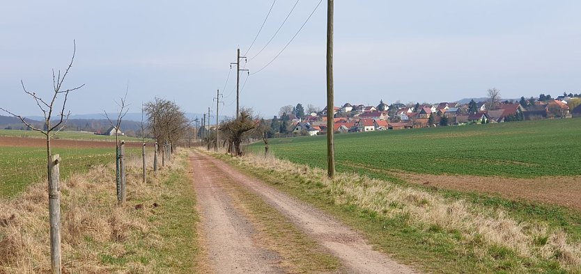 Vom Hainfeld kommend, passieren wir nach knapp 40 Kilometern Herrmannsacker und erreichen &uuml;ber den Rosenteich Neustadt. (Foto: Bodo Schwarzberg)
