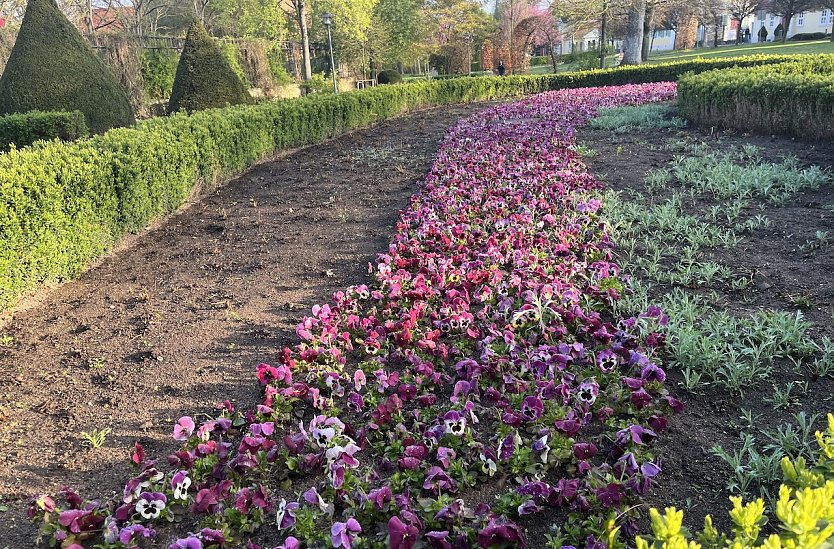 Frühlingshafte Temperaturen bei wechselhaftem Wetter (Foto: oas) Frühlingshafte Temperaturen bei wechselhaftem Wetter (Foto: oas)