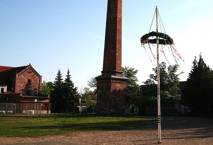 Maibaum in Kelbra (Foto: U.Reinboth)