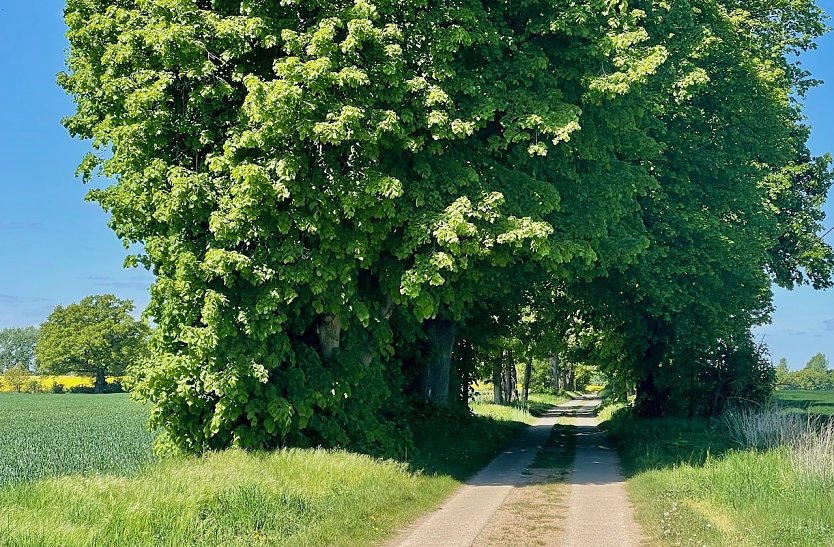 An der M&uuml;ritz (1) (Foto: Volker Weickert)