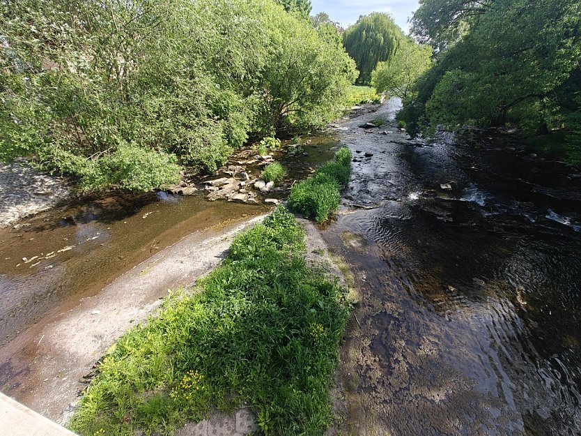 Zustand an der Zorgepromenade (Foto: Peter Blei)